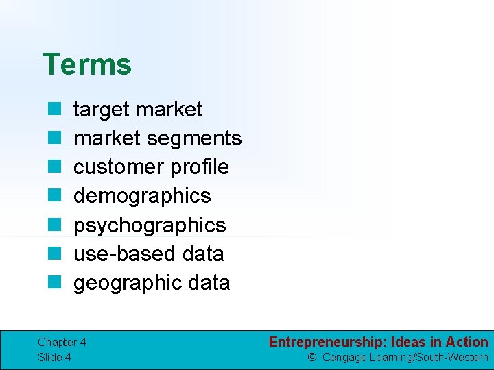 Terms n n n n target market segments customer profile demographics psychographics use-based data