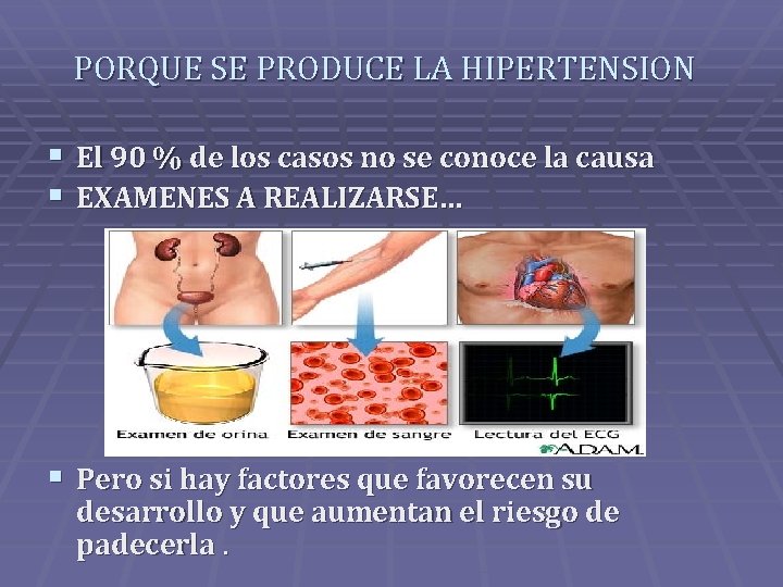 PORQUE SE PRODUCE LA HIPERTENSION § El 90 % de los casos no se