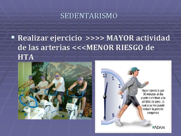 SEDENTARISMO § Realizar ejercicio >>>> MAYOR actividad de las arterias <<<MENOR RIESGO de HTA