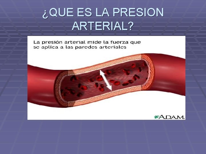 ¿QUE ES LA PRESION ARTERIAL? 