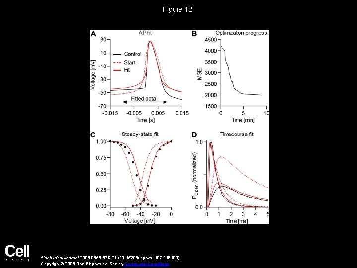 Figure 12 Biophysical Journal 2008 9566 -87 DOI: (10. 1529/biophysj. 107. 118190) Copyright ©