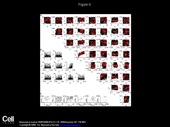 Figure 8 Biophysical Journal 2008 9566 -87 DOI: (10. 1529/biophysj. 107. 118190) Copyright ©