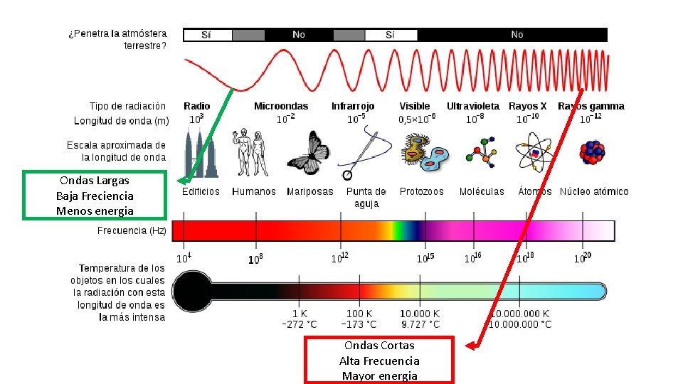 Ondas Largas Baja Freciencia Menos energia Ondas Cortas Alta Frecuencia Mayor energia 