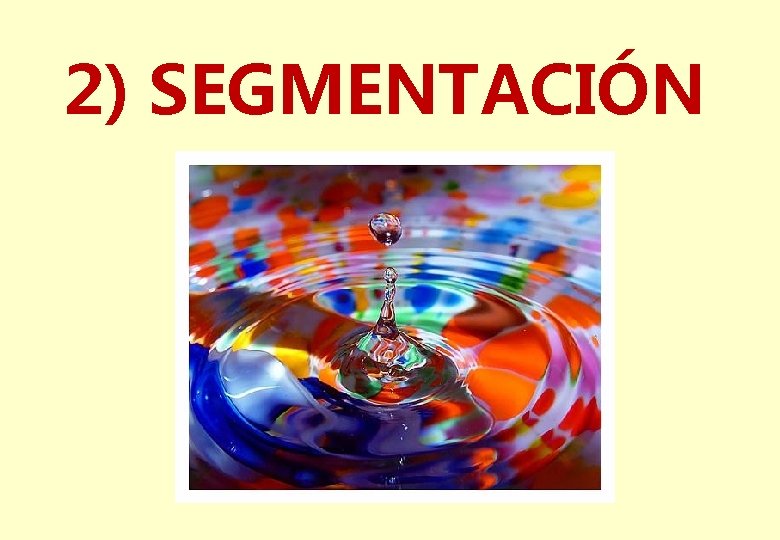 2) SEGMENTACIÓN 