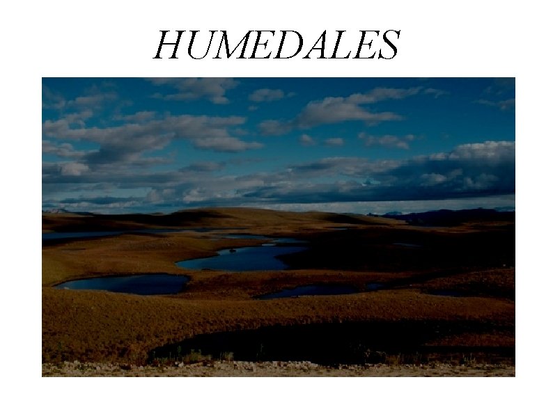 HUMEDALES 