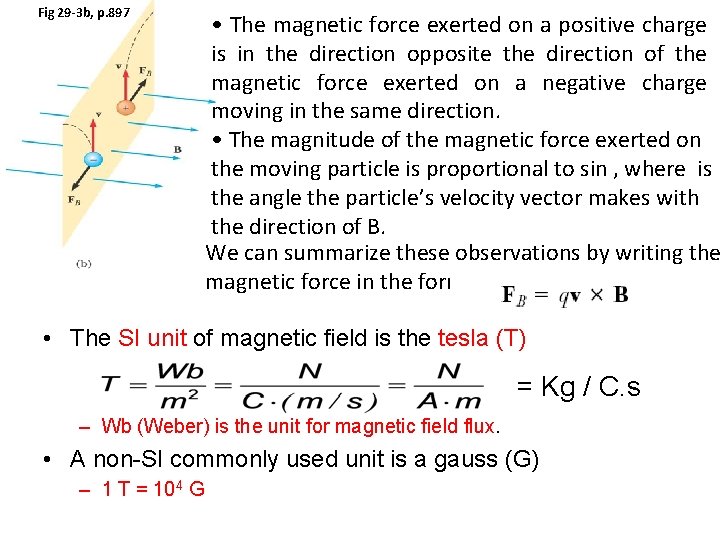 Fig 29 -3 b, p. 897 • The magnetic force exerted on a positive