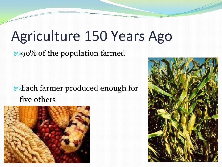 Agriculture 150 Years Ago 90% of the population farmed Each farmer produced enough for