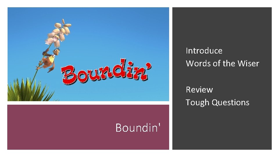 Introduce Words of the Wiser Review Tough Questions Boundin' 