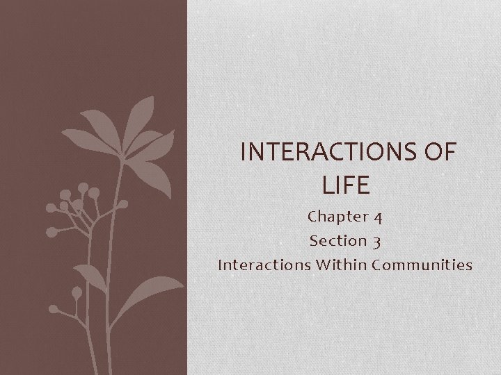 INTERACTIONS OF LIFE Chapter 4 Section 3 Interactions Within Communities 