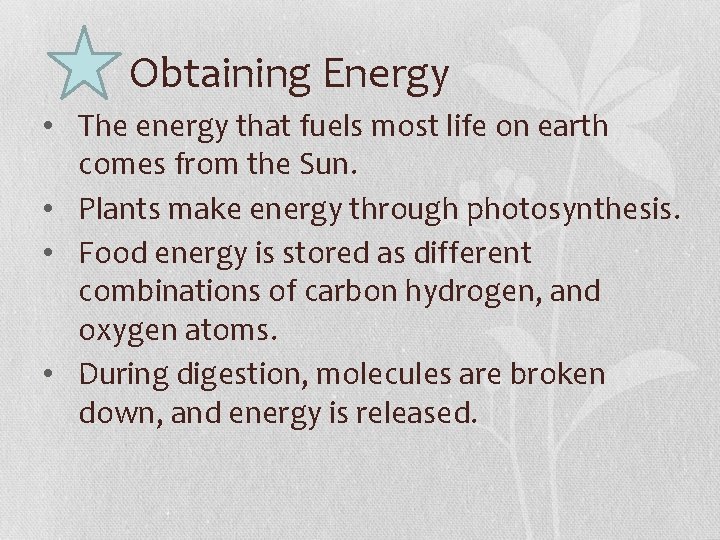 Obtaining Energy • The energy that fuels most life on earth comes from the
