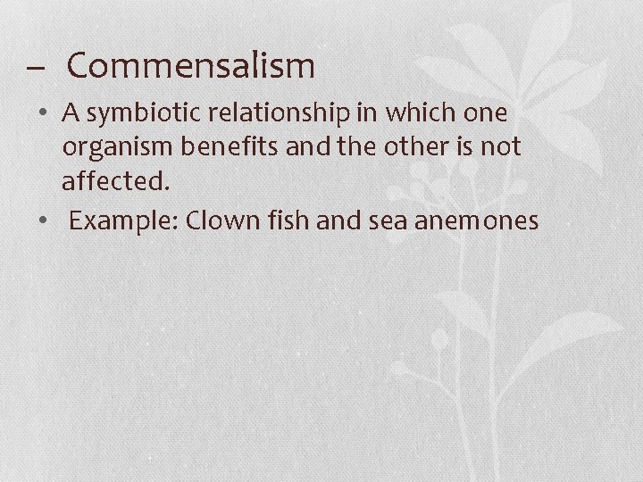 – Commensalism • A symbiotic relationship in which one organism benefits and the other