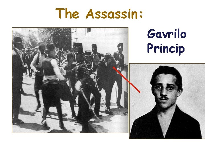 The Assassin: Gavrilo Princip 