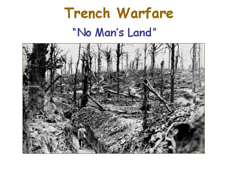 Trench Warfare “No Man’s Land” 