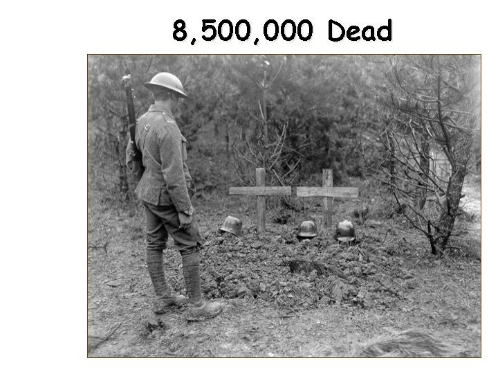 8, 500, 000 Dead 