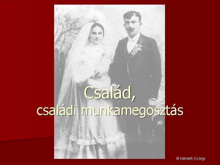 Család, családi munkamegosztás © Németh György 