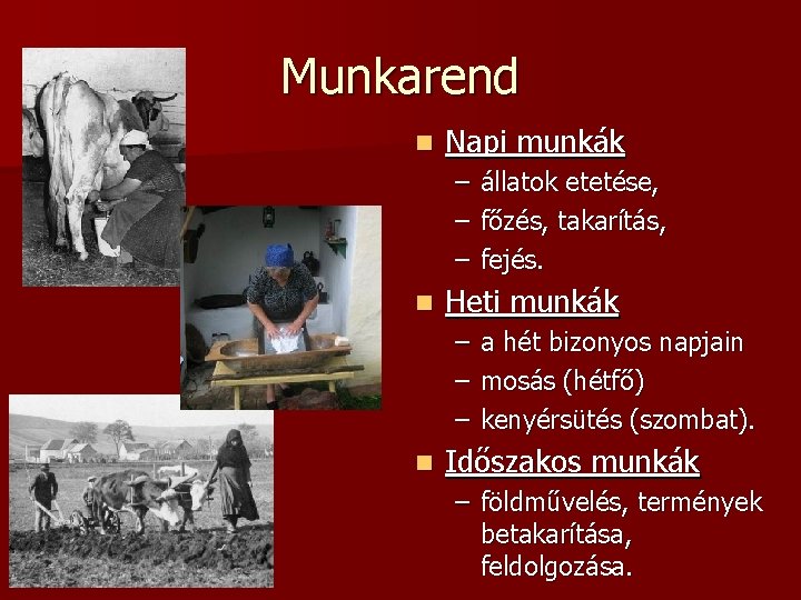 Munkarend n Napi munkák – – – n Heti munkák – – – n