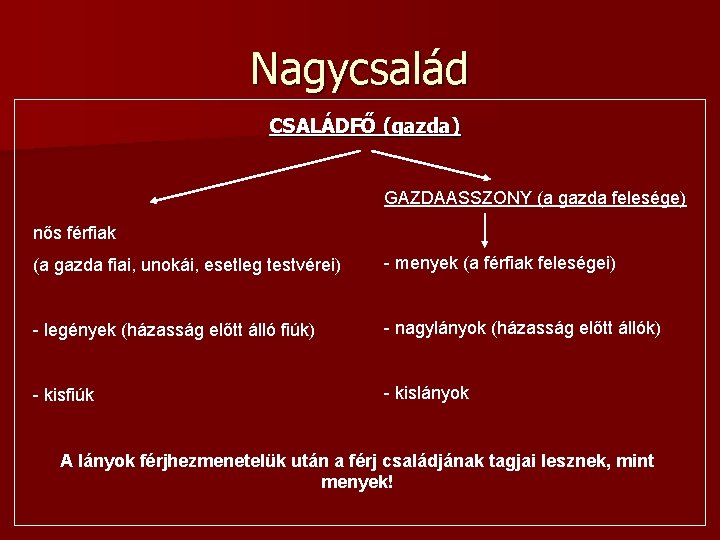 Nagycsalád CSALÁDFŐ (gazda) GAZDAASSZONY (a gazda felesége) nős férfiak (a gazda fiai, unokái, esetleg