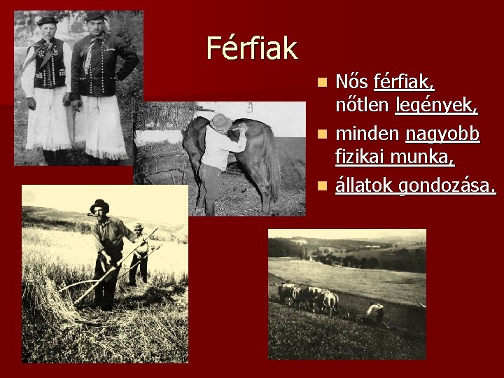 Férfiak Nős férfiak, nőtlen legények, n minden nagyobb fizikai munka, n állatok gondozása. n