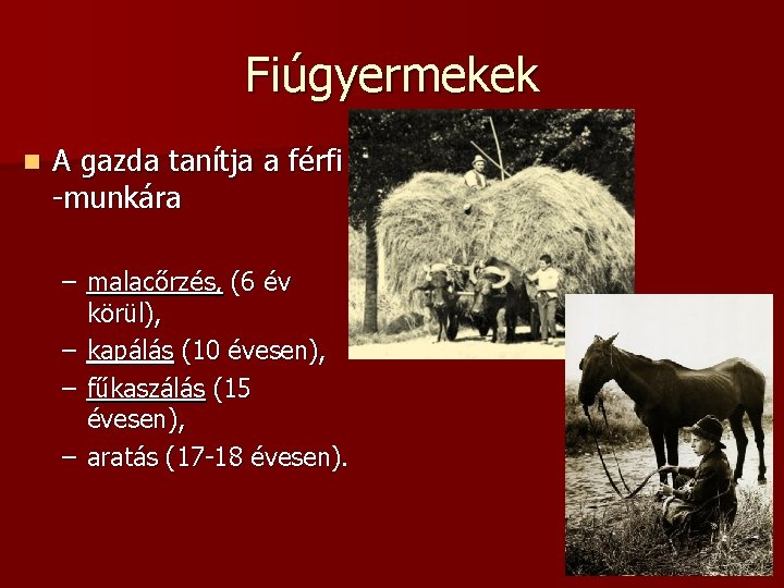 Fiúgyermekek n A gazda tanítja a férfi -munkára – malacőrzés, (6 év körül), –