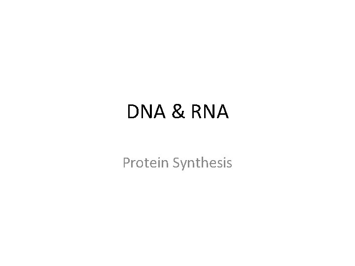 DNA & RNA Protein Synthesis 