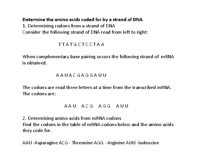Determine the amino acids coded for by a strand of DNA 1. Determining codons