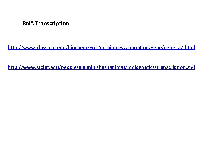 RNA Transcription http: //www-class. unl. edu/biochem/gp 2/m_biology/animation/gene_a 2. html http: //www. stolaf. edu/people/giannini/flashanimat/molgenetics/transcription. swf