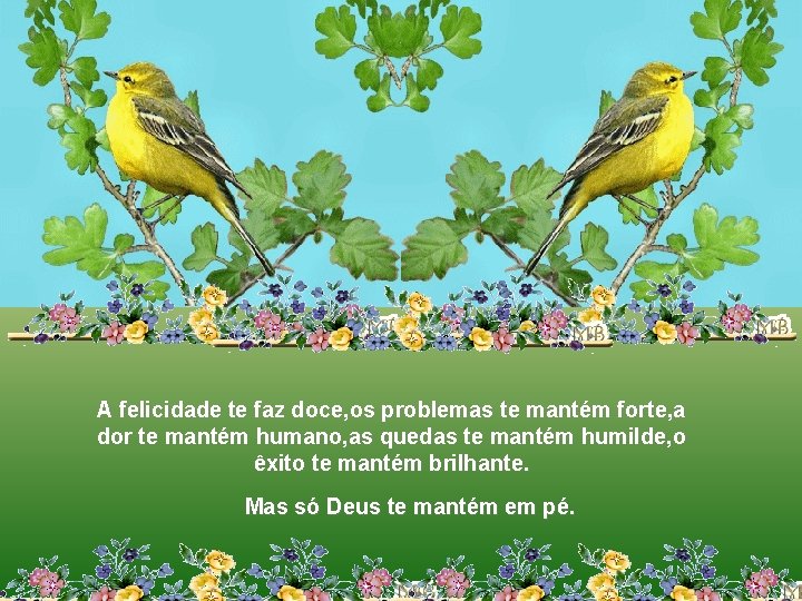 A felicidade te faz doce, os problemas te mantém forte, a dor te mantém