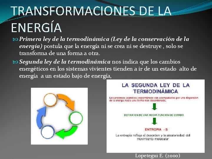 TRANSFORMACIONES DE LA ENERGÍA Primera ley de la termodinámica (Ley de la conservación de