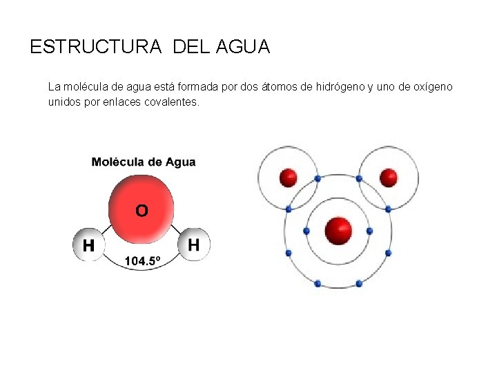 ESTRUCTURA DEL AGUA La molécula de agua está formada por dos átomos de hidrógeno