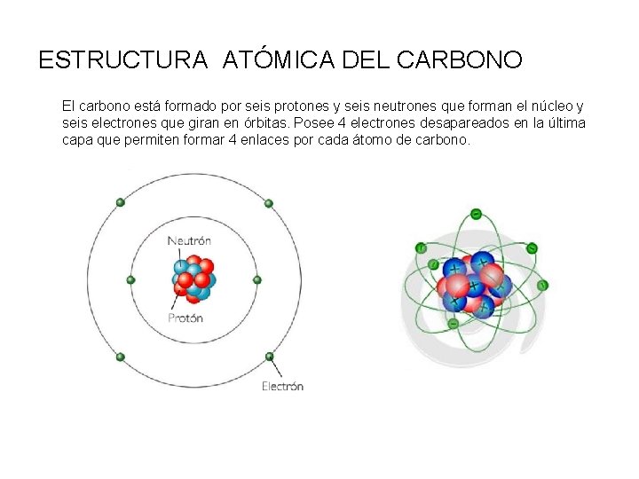 ESTRUCTURA ATÓMICA DEL CARBONO El carbono está formado por seis protones y seis neutrones