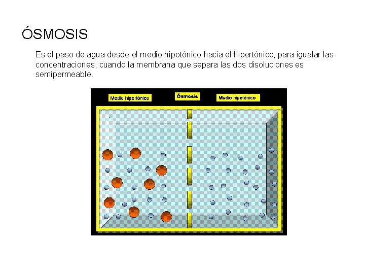 ÓSMOSIS Es el paso de agua desde el medio hipotónico hacia el hipertónico, para