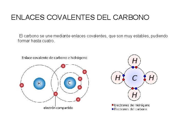 ENLACES COVALENTES DEL CARBONO El carbono se une mediante enlaces covalentes, que son muy