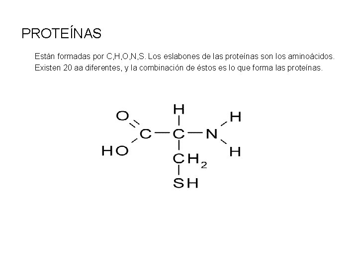 PROTEÍNAS Están formadas por C, H, O, N, S. Los eslabones de las proteínas