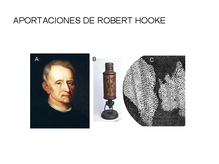 APORTACIONES DE ROBERT HOOKE 