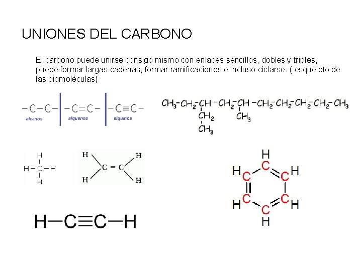 UNIONES DEL CARBONO El carbono puede unirse consigo mismo con enlaces sencillos, dobles y