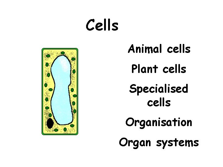 Cells Animal cells Plant cells Specialised cells Organisation Organ systems 