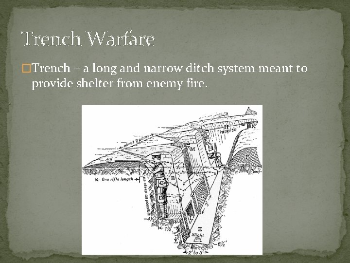 World War I Begins The Great War Response
