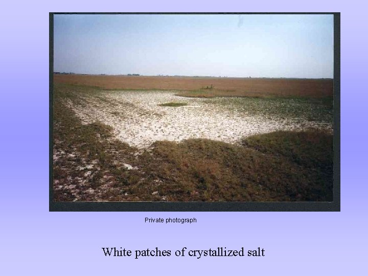 Private photograph White patches of crystallized salt 