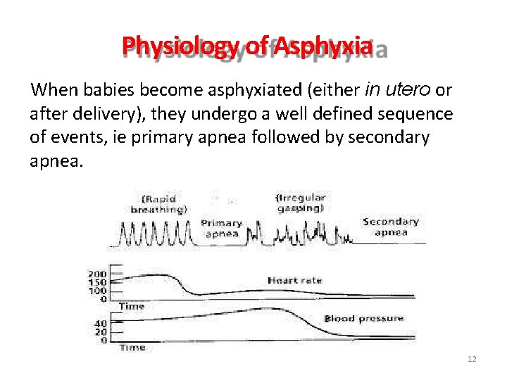 Physiology of Asphyxia When babies become asphyxiated (either in utero or after delivery), they