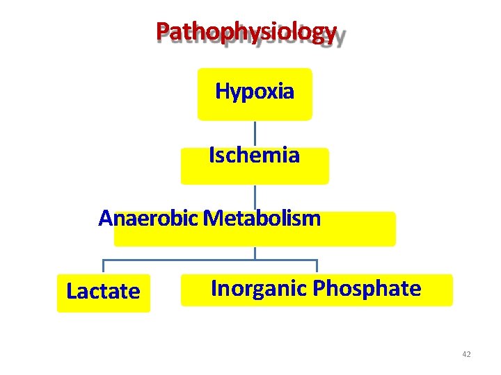 Pathophysiology Hypoxia Ischemia Anaerobic Metabolism Lactate Inorganic Phosphate 42 