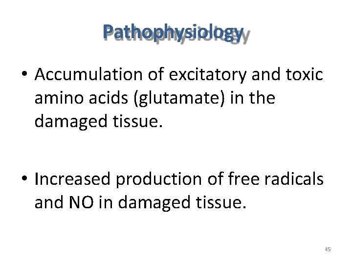 Pathophysiology • Accumulation of excitatory and toxic amino acids (glutamate) in the damaged tissue.