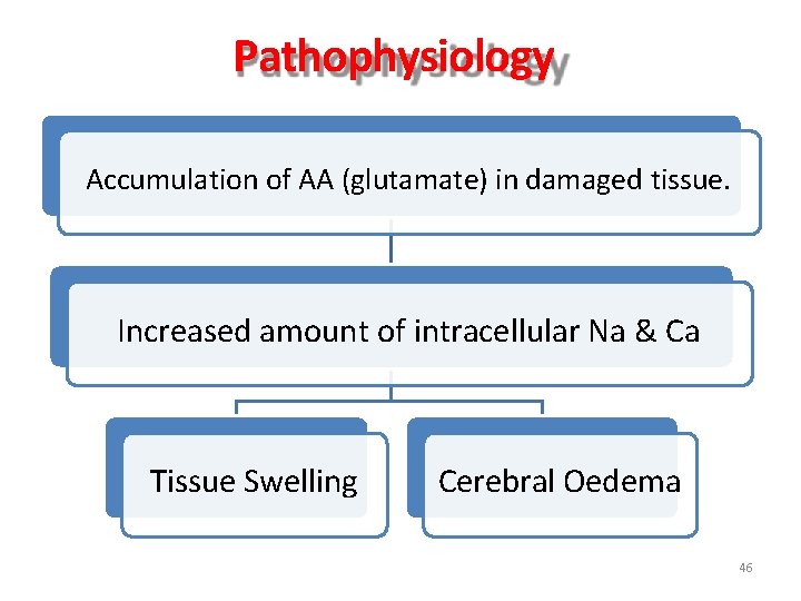 Pathophysiology Accumulation of AA (glutamate) in damaged tissue. Increased amount of intracellular Na &