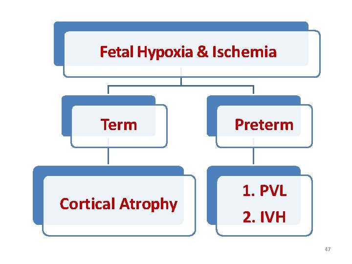 Fetal Hypoxia & Ischemia Term Preterm Cortical Atrophy 1. PVL 2. IVH 47 