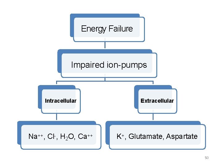 Energy Failure Impaired ion-pumps Intracellular Extracellular Na++, Cl-, H 2 O, Ca++ K+, Glutamate,