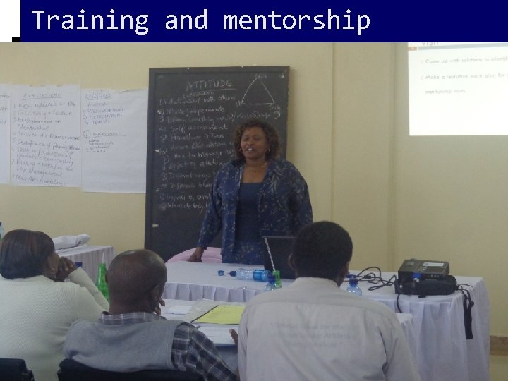 Training and mentorship 