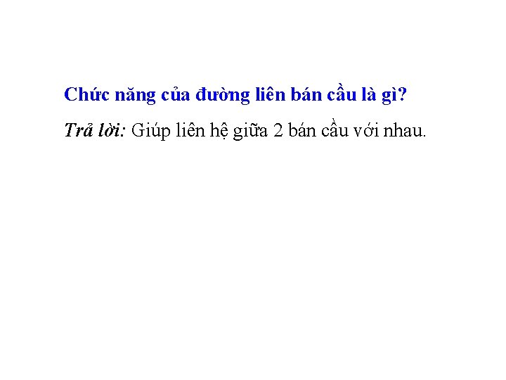 Chức năng của đường liên bán cầu là gì? Trả lời: Giúp liên hệ