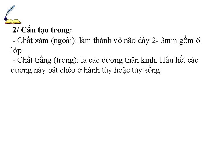 2/ Cấu tạo trong: - Chất xám (ngoài): làm thành vỏ não dày 2