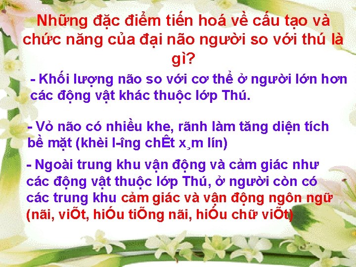 Những đặc điểm tiến hoá về cấu tạo và chức năng của đại não