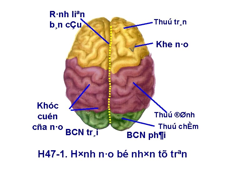 R·nh liªn b¸n cÇu Thuú tr¸n Khe n·o Khóc cuén cña n·o Thuú ®Ønh