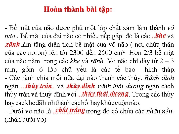 Hoàn thành bài tập: - Bề mặt của não được phủ một lớp chất